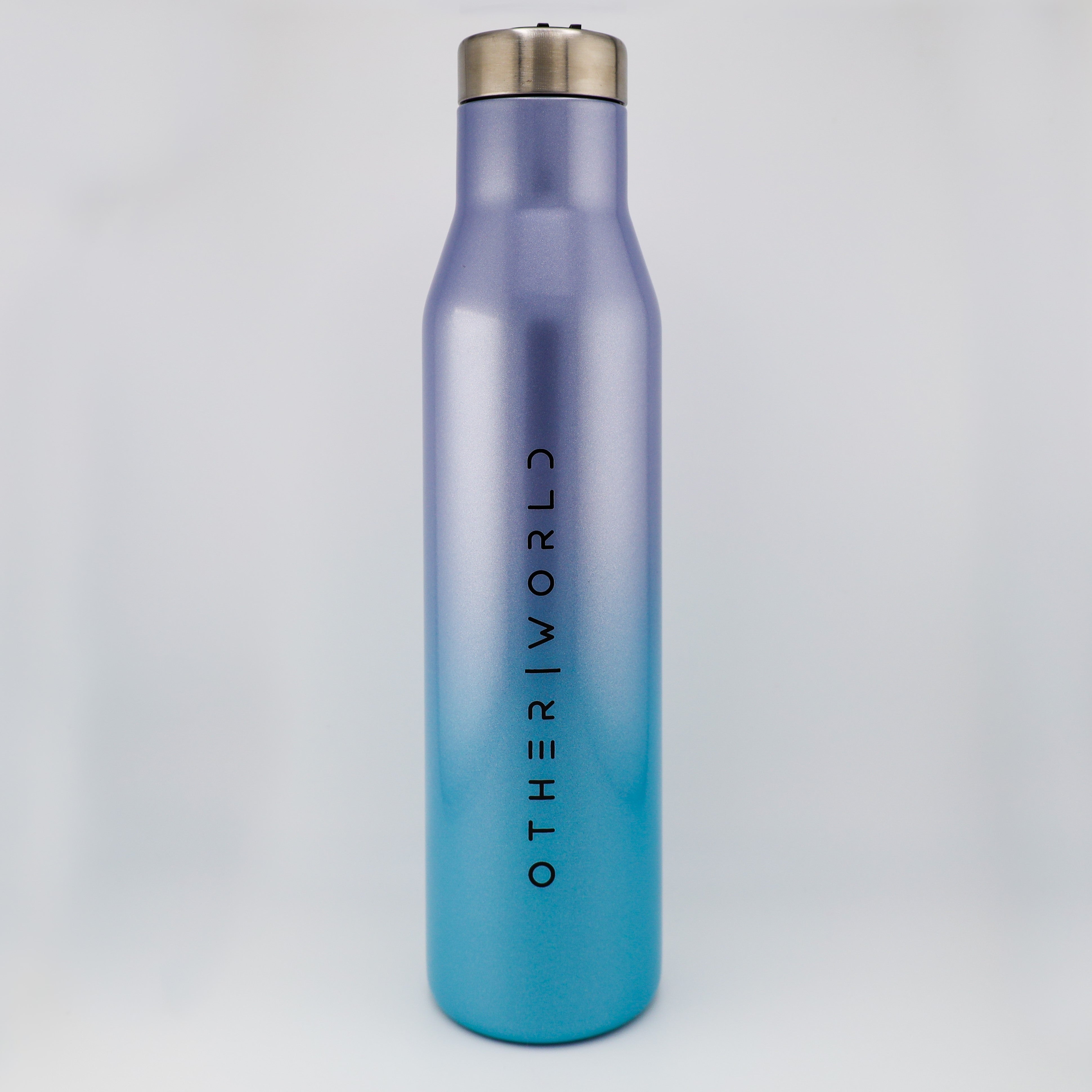 Ecovessel's Aspen Water Bottle