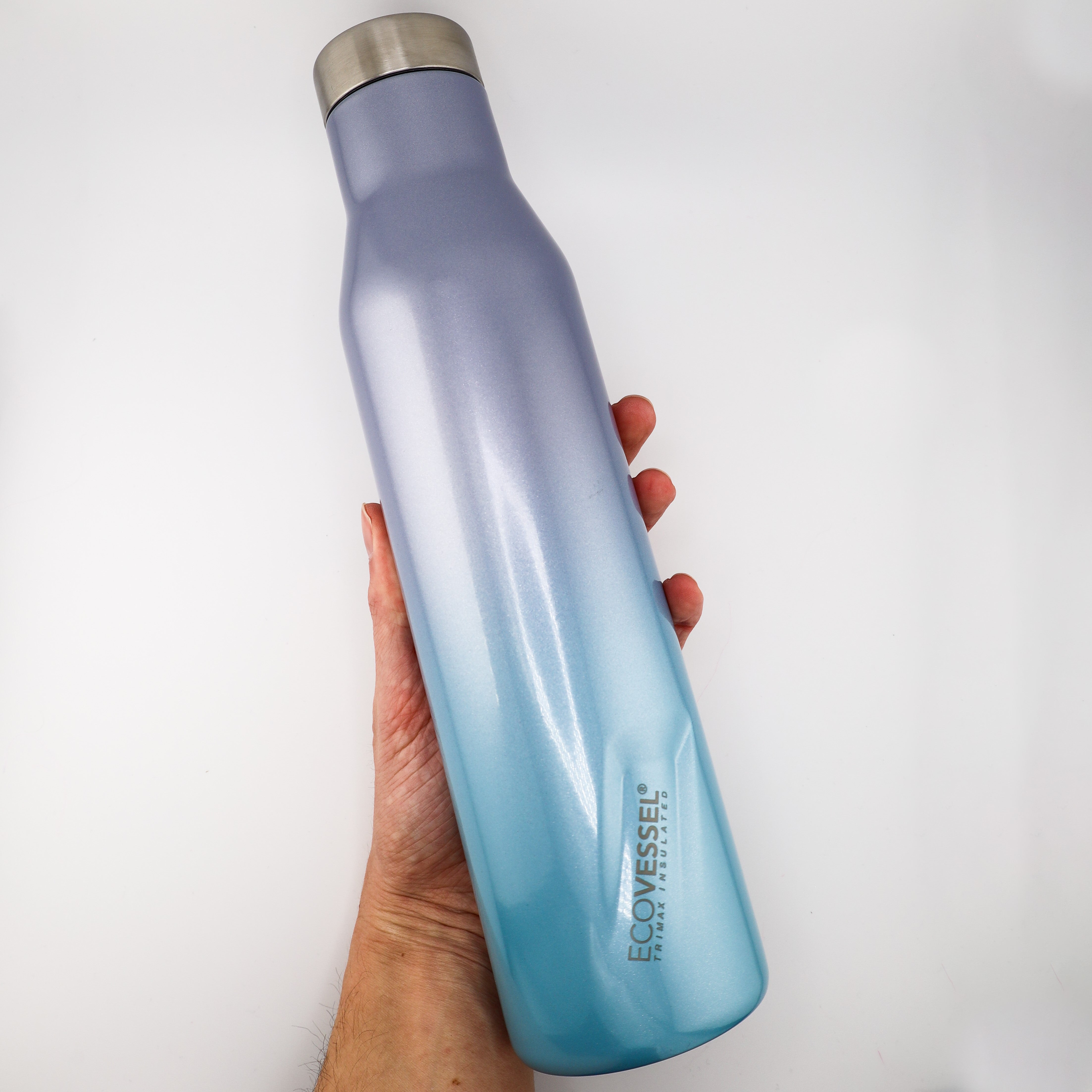 Ecovessel's Aspen Water Bottle