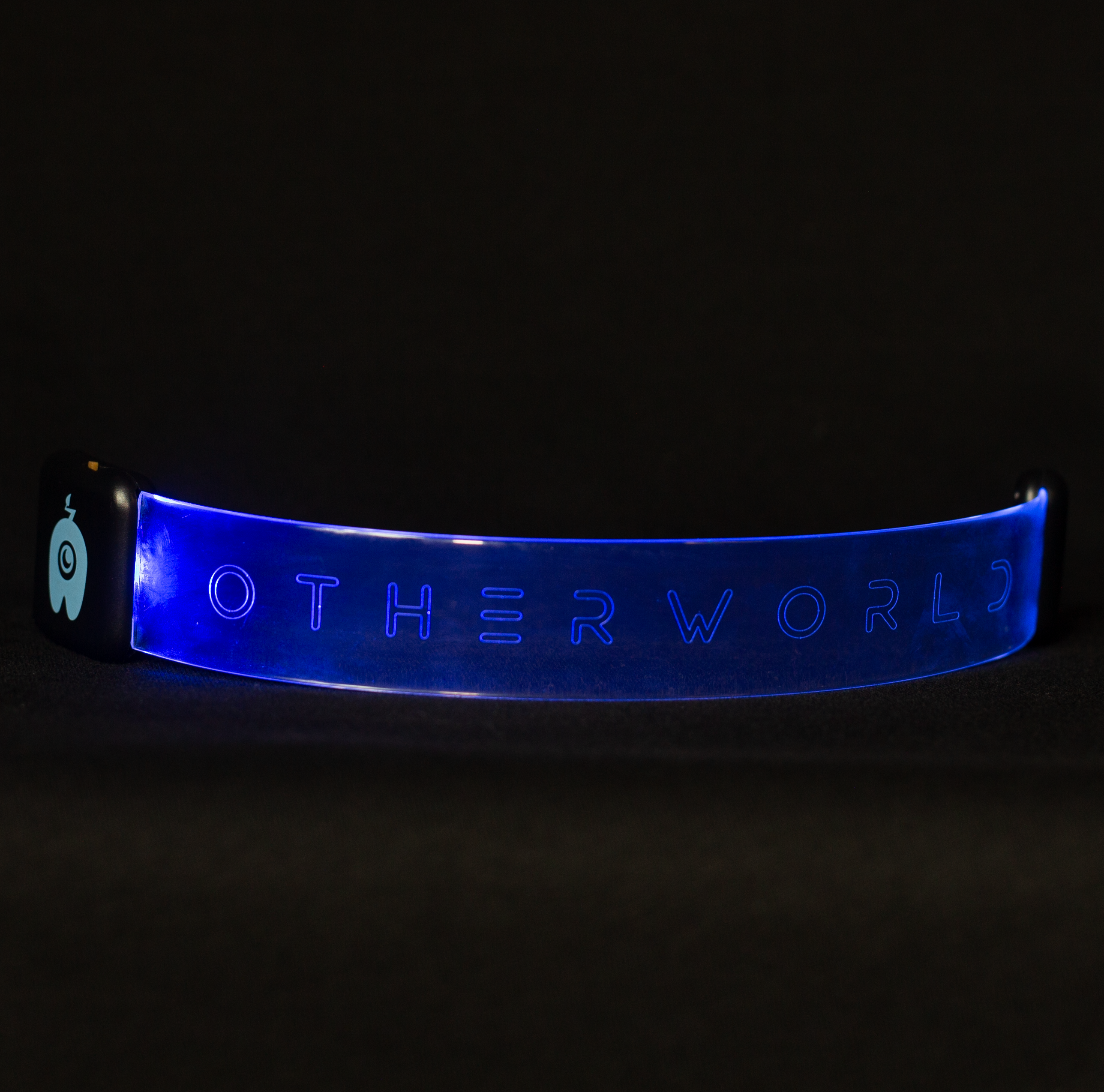 LED Clear Magnetic Wristband