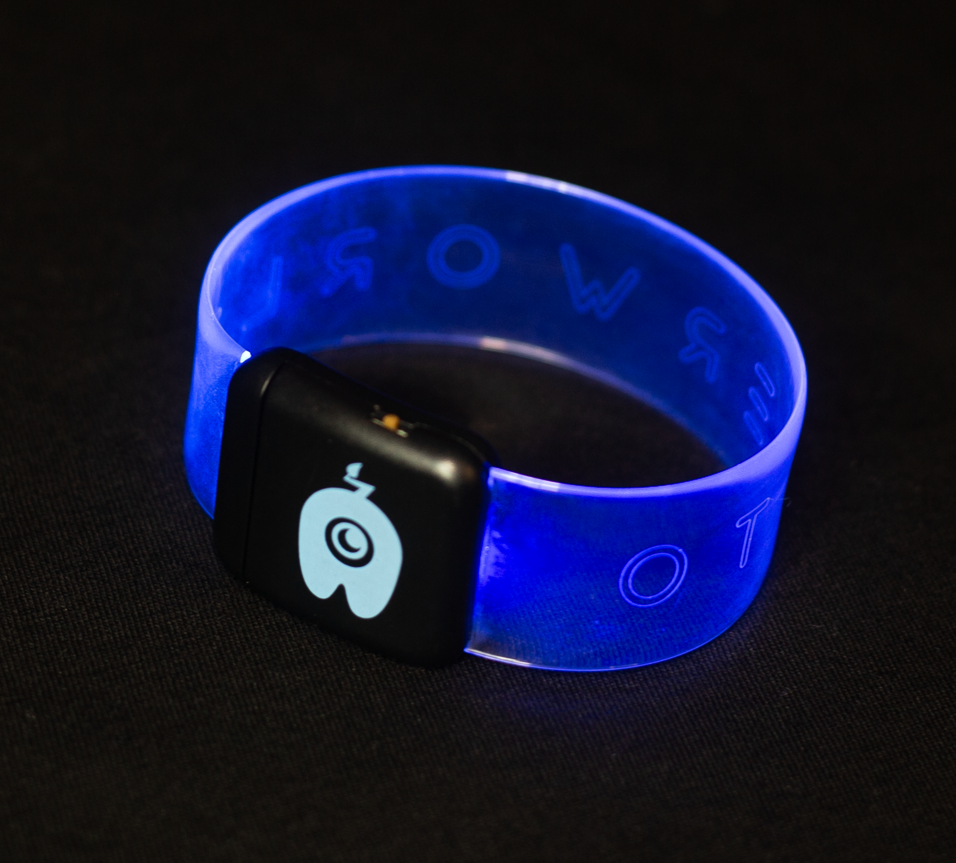 LED Clear Magnetic Wristband